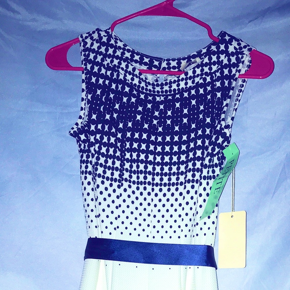 HAANI Petite Dress